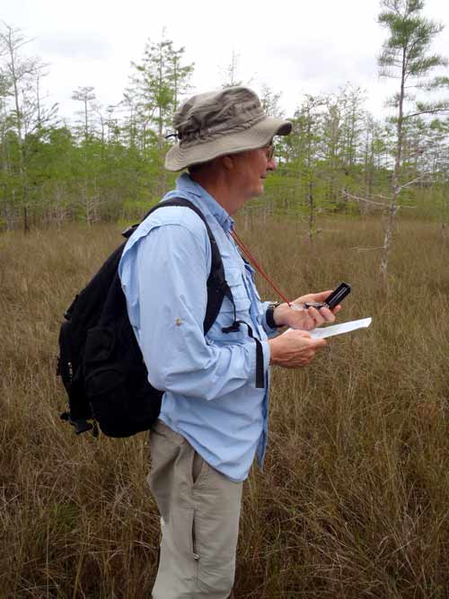 Reid Tillery in the Big Cypress Swamp