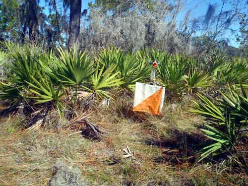 An Orienteering Control Point