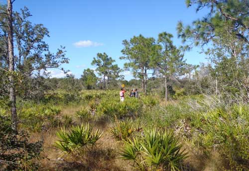 Urban Girl Scouts find their way through a Wilderness Orienteering Course
